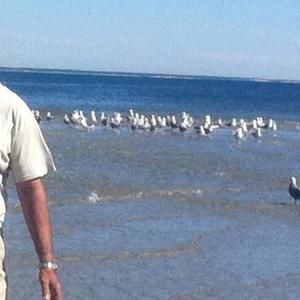 Meet your Posher, Sayed